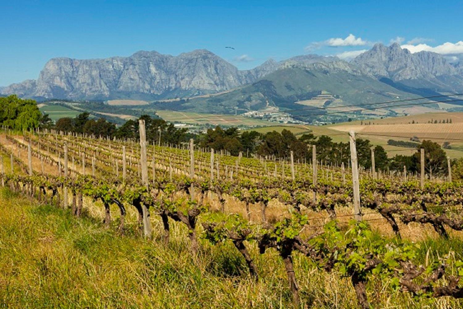 شقة Domaine Coutelier ستيلينبوش المظهر الخارجي الصورة